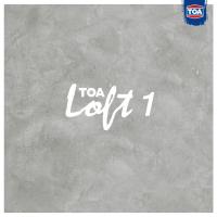 ราคา ทีโอเอ ลอฟท์ ภายนอก TOA LOFT 1 LOFT 2 LOFT 3 ขนาด 12 กก สีลอฟท์ TOA (9694818973)