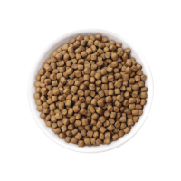 ราคา JPD YAMATO COLOR ENHANCER DIET 5KG เจพีดี อาหารปลาคาร์ฟพรีเมี่ยม สูตรเร่งสี 5กก (10481864132)