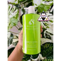 ราคา แชมพูล้างสาร แชมพูล้างสารเคมี Born Song บอนซอง (21648985208)