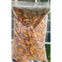 ราคา หนอนไหม ดักแด้ แช่แข็ง บรรจุ 1 ก ก สดๆใหม่ (21614227610)