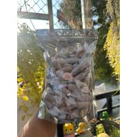 ราคา ท็อฟฟี่ถั่วกรอบน้ำตาลโตนด 500 กรัม (21482620809)