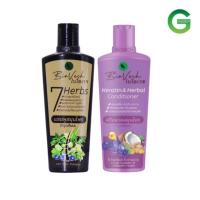 ราคา แชมพูสมุนไพร ไบโอเวช และครีมนวดผม 225มล (21512137309)