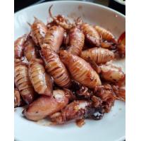 ราคา หมึกไข่ผัดหวาน หมึกไข่ต้มหวาน หมึกสดๆ ไข่เน้นๆ (14026550764)