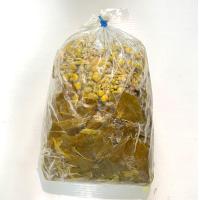 ราคา ดอกและใบขี้เหล็กต้ม สด สะอาด รับประกันคุณภาพ (17429498959)