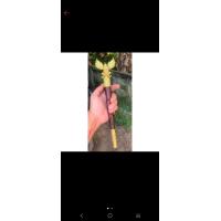 ราคา พญาครุฑเนื้อทองเหลือง (20069030744)