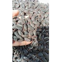 ราคา เม็ดเหรียง หน่อเหรียง เหมาะสำหรับนำไปเพาะเปอร์เซ็นต์งอกสูง (21467900441)