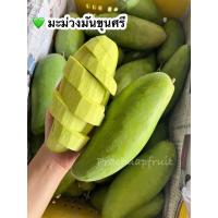 ราคา มะม่วงมันขุนศรี 1 กิโลกรัม มะม่วงโบราณหาทานยาก ทานได้ทั้งดิบและสุก (18858509186)