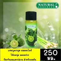 ราคา แชมพูสมุนไพร แชมพูแก้ผมร่วง แชมพูมะกรูดผสมตะไคร้ Natural Essences ให้ผมนุ่ม ลดผมร่วง ป้องกันผมแตกปลาย สำหรับผมมัน (1457792507)