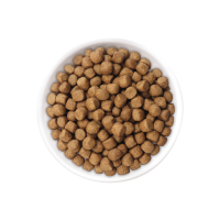 ราคา JPD YAMATO COLOR ENHANCER DIET 5KG เจพีดี อาหารปลาคาร์ฟพรีเมี่ยม สูตรเร่งสี 5กก (10481934074)