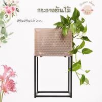 ราคา กระถางต้นไม้ กระถางเหล็ก กระถางแคมตัส กระถางทรงสูง กระถางทรงตะข่าย กระถางกระบองเพชร (9273078227)
