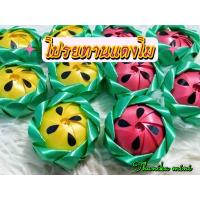 ราคา โปรยทานแตงโม โปรยทานตัวเปล่า สามารถใส่เหรียญทีหลังได้ (20414756839)