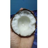 ราคา มะพร้าวกะทิ น้ำข้น น้ำใส เนื้อฟูๆ (21659727651)