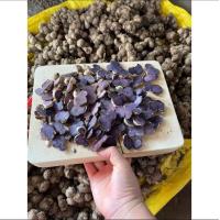 ราคา กระชายดำสด คุณภาพดี 1กก ดำสวยสด ปลูกเองขายเอง ไม่ผ่านพ่อค้าคนกลาง (16976360783)