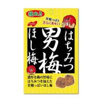 ราคา ลูกอมบ๊วยแดง Nobel Otoko Ume Candy 80g Dried Ume Plum 20g Ume Plum Sheet 10g บ๊วยแดงญี่ปุ่น ลูกอมบ๊วยญี่ปุ่น (17237621586)