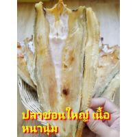 ราคา ปลาช่อนทะเลจืดเนื้อหนา ตัวใหญ่ ตัวเล็ก เนื้อเบาบาง เนื้อหนา ปลาบาง จืด ปลาจิ๊กโก๋ (20513623289)