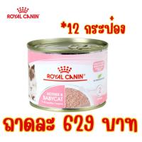 ราคา Royal Canin Mother Baby Catแบบกระป๋อง195 กรัม ราคายกโหล12กระป๋อง (21612369351)
