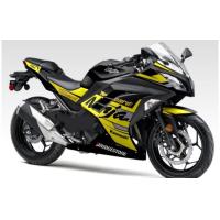 ราคา การปอกการเปลี่ยนแปลงนินจา250 FI นินจา Fi 250กราวิส (19101563312)