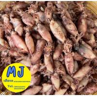 ราคา MJหมึกแห้งระยอง หมึกกะตอยต้ม ปลาหมึกกะตอยต้มอบแห้ง (21416963616)