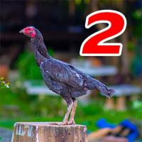 ราคา ไข่เชื้อไก่ชน เจ้าโชกุน ก๋อยจอมตีหลัง ทับกับแม่ก๋อยร้อยกัดจัด ลูกช้างมนตราและสายสามเอี่ยว ไข่เก็บใหม่ทุกวัน (21689874569)