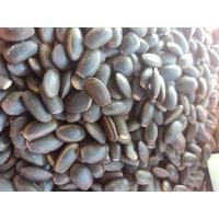 ราคา เม็ดเหรียงตัดหัว น้ำหนัก500กรัม ราคา150บาท (21487989219)