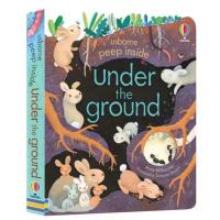 ราคา หนังสือภาษาอังกฤษ usborne Peep inside fairy tale lift the flap book นิทานภาษาอังกฤษ Usborne Peep Inside Collection หนังสือหน้าต่างเปิดปิด Die cut hold (20591097143)