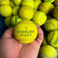 ราคา พรีออเดอร์ ลูกเทนนิสมือสอง ใช้ฝึก ซ้อม ตีเล่น tennis wilson st james dunlop fort (21572963275)