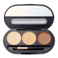 ราคา U STAR BLOOMING FLOWER HIGHLIGHT CONTOUR PALETTE ไฮไลท์แอนด์คอนทัวร์ ปกปิดริ้วรอย ส่วนเกินและเพิ่มความโดดเด่นให้กับใบหน้า (21613679375)