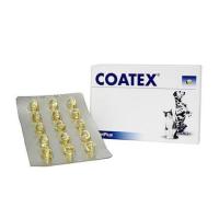 ราคา Coatex ล็อตใหม่ Exp 1 8 2025 วิตามิน บำรุงขนและผิวหนัง สุนัข แมว แคปซูล VetPlus Supplement แบ่งขาย 15 แคปซูล (21517209433)
