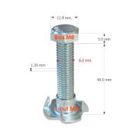 ราคา น๊อต M8x1520253035405060 mm พร้อมทีนัท M8 ชุดละ 16 ตัว น๊อตยึดแร็ค อุปกรณ์ทำแร็ค อุปกรณ์แร็ค ที่นัท น๊อตยึดล้อ น๊อตหัวหกเหลี่ยม (6068284431)