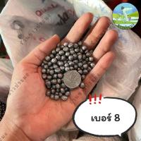 ราคา ลูกตะกั่ว ขายเป็นกิโล เบอร์ 1 8 ตะกั่วนก ตะกั่วหนู ตะกั่วเม็ด ตะกั่ว (21447095034)