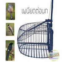 ราคา กรงดักนก เพนียดต่อนก เพนียดดักนกหัวจุก (7374340241)