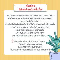 ราคา พรีออเดอร์ ตัวกรองวาล์วน้ำเข้าเครื่องซักผ้า ตัวละ9บาท ใส่ได้ทุกรุ่นและทุกแบรนด์ (21443829213)