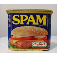 ราคา SPAM 340g (21483610938)