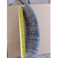 ราคา เขาควายทำด้ามมีด 1ชิ้น (20961164322)