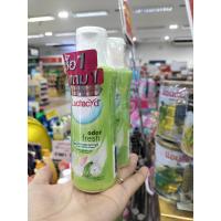 ราคา Lactacyd Care Feminine Wash 150ml แลคตาซิด แคร์ สูตรอ่อนโยน แถมฟรี 150ml (21691333368)