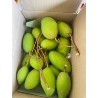 ราคา มะม่วงพิมเสนอ่อน น้ำปลาหวาน ชุดละ 129 บาท (18801014454)