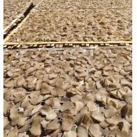 ราคา ข้าวเกรียบปลา แผ่นดิบ แผ่นบาง กรอบ อร่อย ของแท้ จากปัตตานี (21394334186)