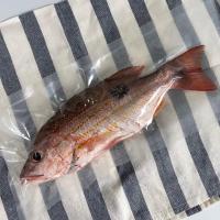 ราคา ส่งฟรี ปลากระพงแดงข้างปาน ปลาทะเลธรรมชาติ 1 กิโลกรัม ขนาด 2 3 ตัวต่อกิโลกรัม ซีลสูญญากาศแพคละ 1 ตัว ทำให้พร้อมทำอาหาร Seafood From Home (14759187834)