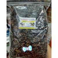 ราคา จิ้งหรีดอบแห้ง 500 กรัม โปรตีนสูงเเสนอร่อย (20539455406)