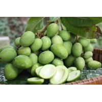 ราคา มะม่วงเบา มะม่วงเบาจากสดๆจากสวน ไร้สารเคมี (21450666658)