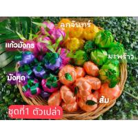 ราคา เหรียญโปรยทาน ผลไม้รวม ตัวเปล่า50ชิ้น มีผลไม้รวม9ชุด โปรยทานงานบวช โปรยทานสำเร็จรูป (19104984574)