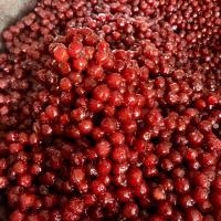 ราคา มะยมเชื่อม ไซส์เล็ก พร้อมส่ง 1 กิโลกรัม มะยมเชื่อมสูตรโบราณ (21625839099)