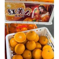 ราคา ส้มเอฮิเมะ เนื้อเยลลี่ หวาน หอม แช่เย็นตักทานได้เลยคะ (21736510524)