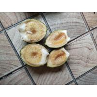 ราคา หมากสด หมากอ่อนจากสวนเองราคาถูก ขายเป็นกิโล (21709662063)