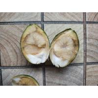 ราคา หมากสด หมากอ่อนจากสวนเองราคาถูก ขายเป็นกิโล (21709662064)