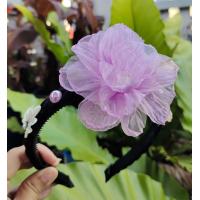 ราคา ที่คาดผมเกาหลี ซอบจี ที่คาดผมชุดฮันบก (20920256218)