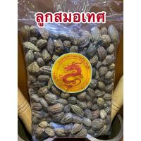 ราคา อย่างดี สมอเทศ ลูกสมอเทศ ลูกสมอ (21025999184)