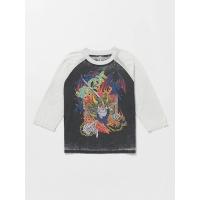 ราคา VOLCOM เสื้อแขนยาว SKATE VITALS COLLIN P RAGLAN (21430851294)