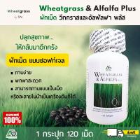ราคา 1 กระปุก Wheatgrass Alfalfa Plus ผลิตภัณฑ์อาหารเสริมแอมสตรอง วีทกราส อัลฟัลฟ่า พลัส ผักเม็ดแท้ สูตรดั้งเดิม (21474943045)