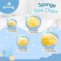 ราคา Mummily ฟองน้ำ SILK FINE ฟองน้ำธรรมชาติแท้100 ฟองน้ำอาบน้ำเด็ก (17714164314)